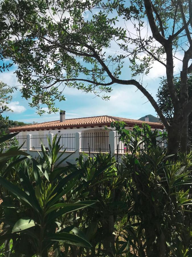 La Casa Dell Olivo Villa Castiadas Kültér fotó